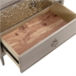 Furniture of America Glint Solid Wood Dovetail 2-Drawer Nightstand in Oak