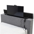 Furniture of America Jolyon Wood 3D Fireplace Bluetooth USB Queen Bed in Gray