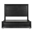Furniture of America Lyle Solid Wood Queen Panel Bed with LED Headboard in Black