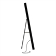 Furniture of America Eirlys Metal Bluetooth LED Lights Standing Mirror in Black