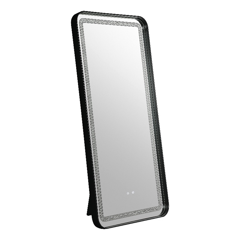 Furniture of America Eirlys Metal Bluetooth LED Lights Standing Mirror in Black