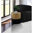 Trent Home Contemporary Metal End Table in Brushed Black/Matte Black