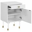 Trent Home Contemporary Accent Table in Matte White/Acrylic