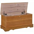 Catania Rectangular Traditional Wood Cedar Chest in Natural Honey