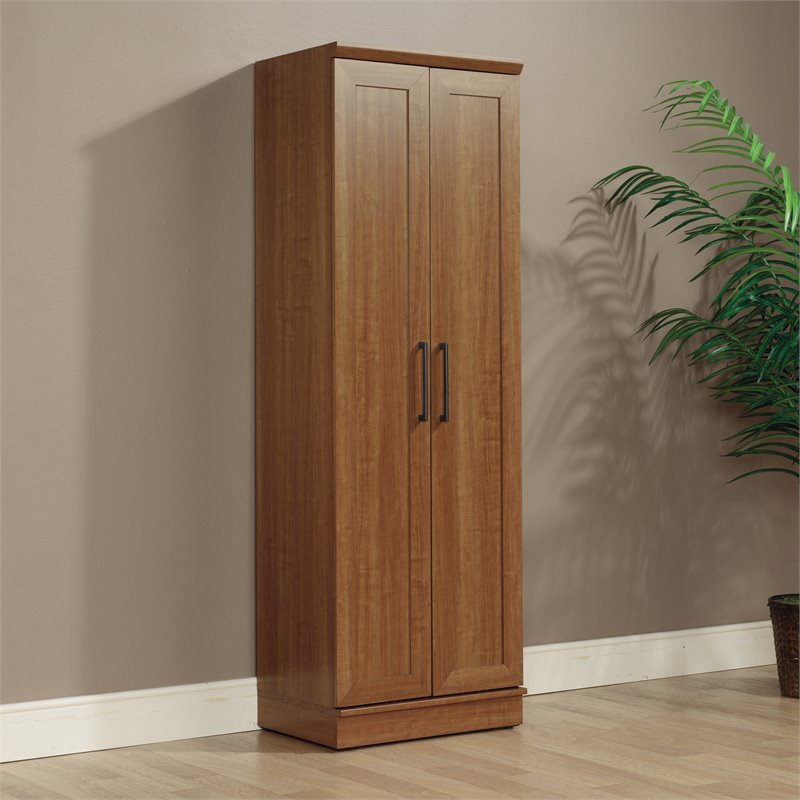 Catania Modern / Contemporary Storage Cabinet in Sienna Oak Finish