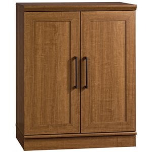 Catania Adjustable Shelf Traditional Engineered Wood Cabinet in Sienna Oak