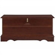 Bowery Hill Wood Veneer Warm Brown Cedar Chest Rectangular 40