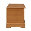 Bowery Hill Rectangular Traditional Wood Cedar Chest in Natural Honey
