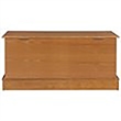 Bowery Hill Rectangular Traditional Wood Cedar Chest in Natural Honey