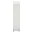 Bowery Hill Modern 2 Shelf Shoe Storage Cabinet in White
