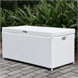 Bowery Hill Wicker White Patio Storage Deck Box Rectangular Simple Assembly