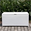 Bowery Hill Wicker White Patio Storage Deck Box Rectangular Simple Assembly