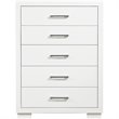 Bowery Hill 5 Drawer Contemporary Chest in White