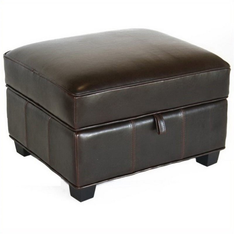 Bowery Hill Bi-Cast Leather Dark Brown Ottoman Square Lift-Top Storage 25