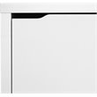 Bowery Hill Modern 3 Shelf Shoe Storage Cabinet in White