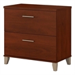 Bowery Hill Wood Hansen Cherry File Cabinet Rectangular 2-Drawer 29.15