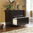 Bowery Hill 2 Drawers Lateral Black Engineered Wood Filing Cabinet Easy Assembly
