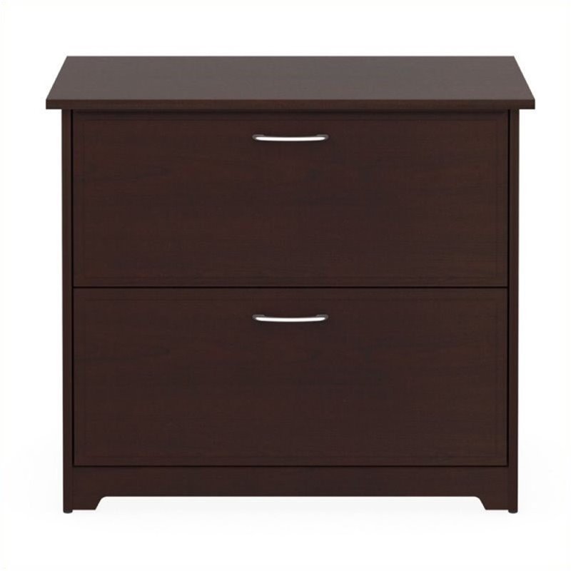 Bowery Hill Engineered Wood 2-Drawers Lateral File Cabinet in Harvest Cherry