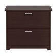 Bowery Hill Engineered Wood 2-Drawers Lateral File Cabinet in Harvest Cherry
