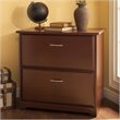 Bowery Hill Engineered Wood 2-Drawers Lateral File Cabinet in Harvest Cherry