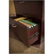 Bowery Hill Engineered Wood 2-Drawers Lateral File Cabinet in Harvest Cherry