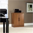 Bowery Hill Adjustable Shelf Traditional Engineered Wood Cabinet in Sienna Oak