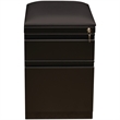 Bowery Hill 2-Drawer Metal Mobile Pedestal Filing Cabinet with Cushion in Black
