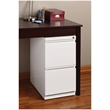 Bowery Hill 2 Drawers Vertical White Metal Filing Cabinet Pre-assembled