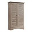 Bowery Hill Engineered Wood 4-Adjustable Shelves Storage Cabinet in Salt Oak