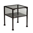 Bowery Hill Glass Display End Table in Black