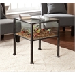 Bowery Hill Glass Display End Table in Black
