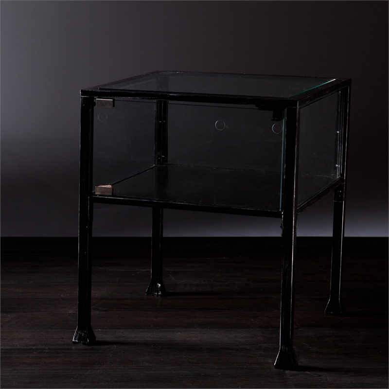Bowery Hill Glass Display End Table in Black