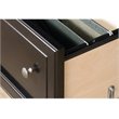 Bowery Hill 2 Drawers Lateral Black Engineered Wood Filing Cabinet Easy Assembly
