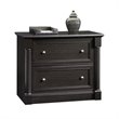 Bowery Hill 2 Drawers Lateral Black Engineered Wood Filing Cabinet Easy Assembly