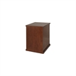 Bowery Hill 2 Drawers Vertical Oak Wood Filing Cabinet Pre-assembled