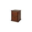 Bowery Hill 2 Drawers Vertical Oak Wood Filing Cabinet Pre-assembled