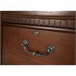 Bowery Hill 2 Drawers Vertical Oak Wood Filing Cabinet Pre-assembled