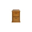 Bowery Hill Wood Natural Filing Cabinet Vertical 2 Drawer 29