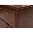 Bowery Hill Hardwood Brown Lateral Filing Cabinet Rectangular Locking Drawers 29