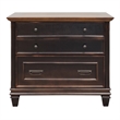 Bowery Hill Wood Black Filing Cabinet Rectangular 31