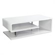 Bowery Hill Chrome White Coffee Table Rectangular 47.25