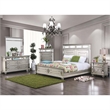 Bowery Hill 2 Drawers Contemporary Wood Nightstand with Mirrored in Silver