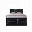 Bowery Hill Transitional Wood Metal Queen Bed with Storage in Black