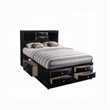 Bowery Hill Transitional Wood Metal Queen Bed with Storage in Black