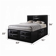 Bowery Hill Transitional Wood Metal Queen Bed with Storage in Black