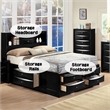Bowery Hill Transitional Wood Metal Queen Bed with Storage in Black