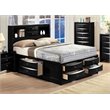 Bowery Hill Transitional Wood Metal Queen Bed with Storage in Black