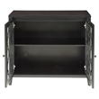 Bowery Hill Contemporary 2-Door Wood/Glass Accent Chest in Black