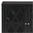Bowery Hill Contemporary 2-Door Wood/Glass Accent Chest in Black