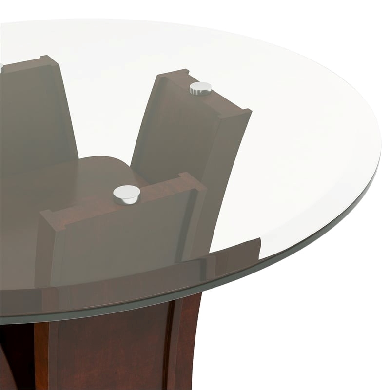 Bowery Hill Contemporary Solid Wood/Wood Veneer/MDF/Glass End Table in Cherry